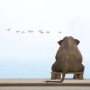 時**