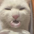 沙****